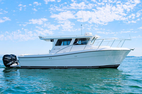 BOAT BATTERY 12.8V 20AH